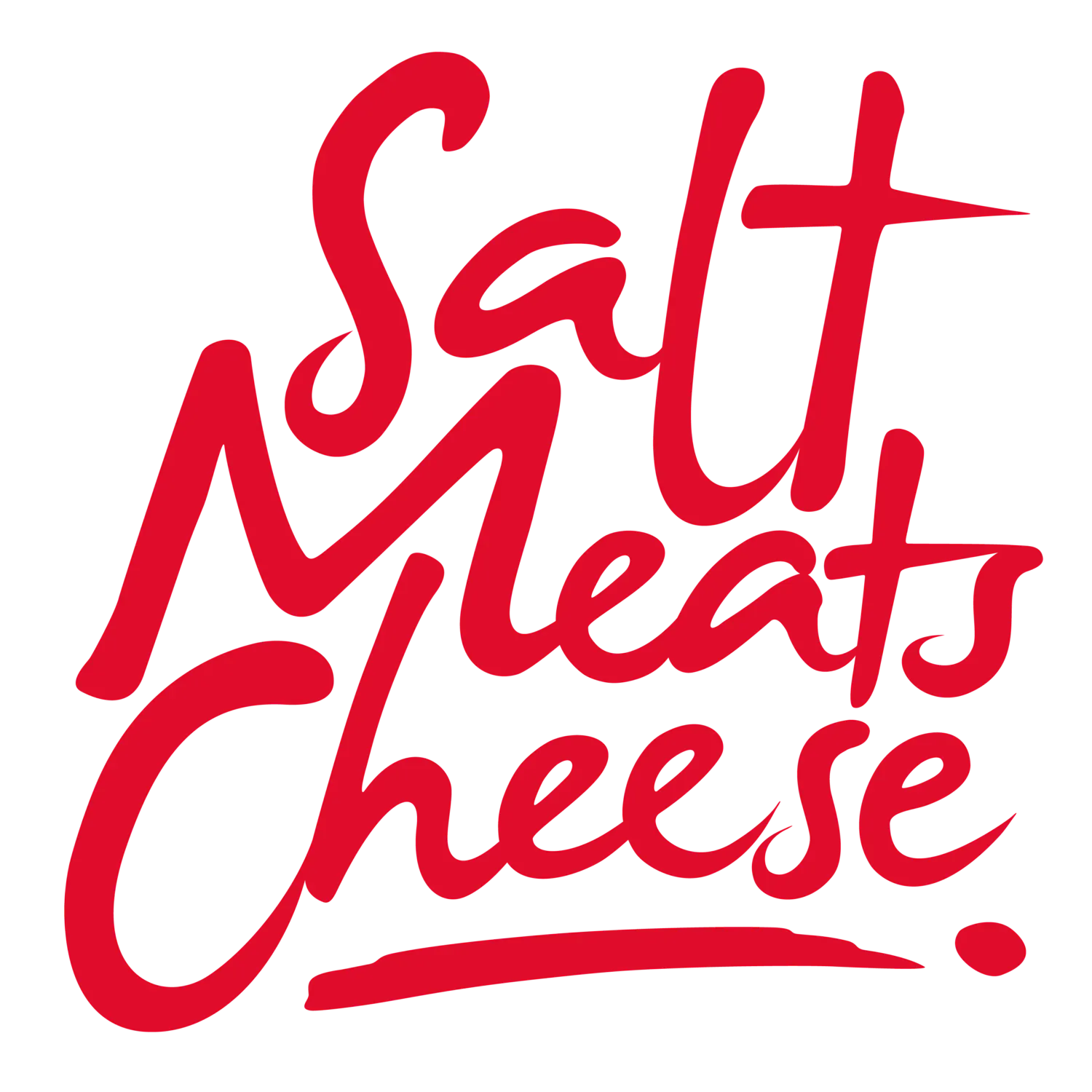 Salt Meats Cheese