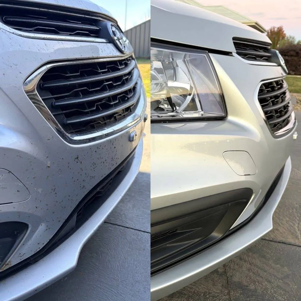 Front grille cleaned, before and after