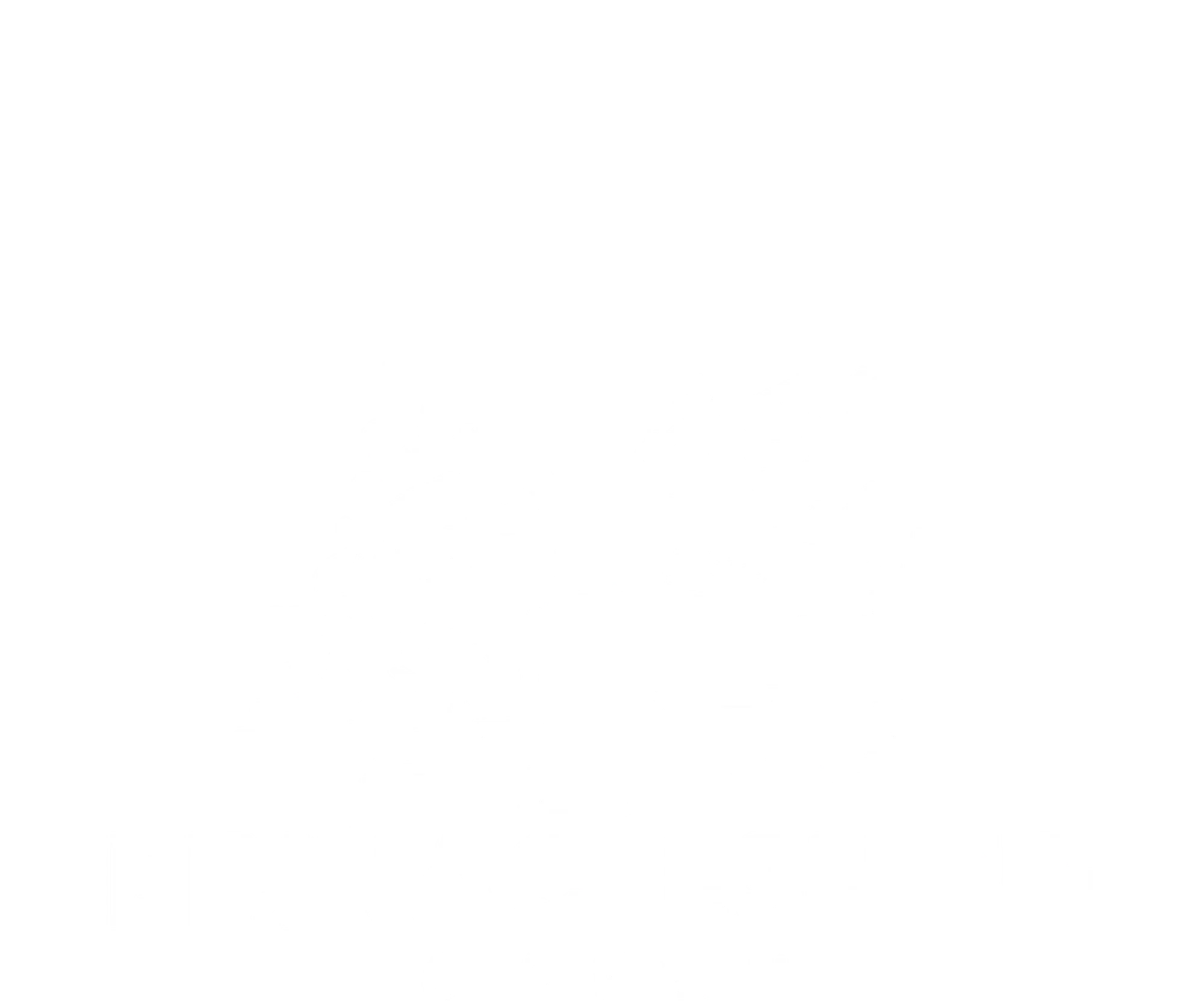 Pinnacle Shine Car Wash logo